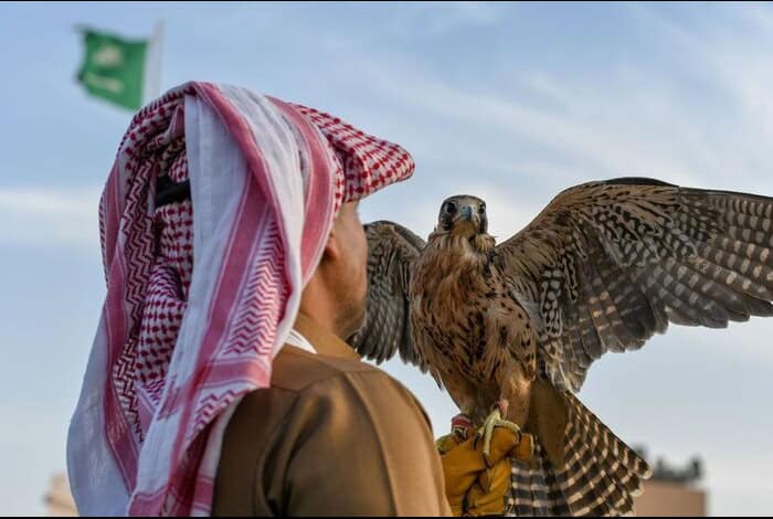 How NEOM is Rewilding Saudi Arabia and Reviving the Ancient Art of Falconry