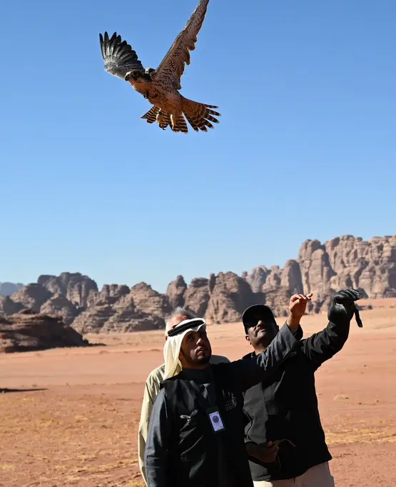 How NEOM is Rewilding Saudi Arabia and Reviving the Ancient Art of Falconry