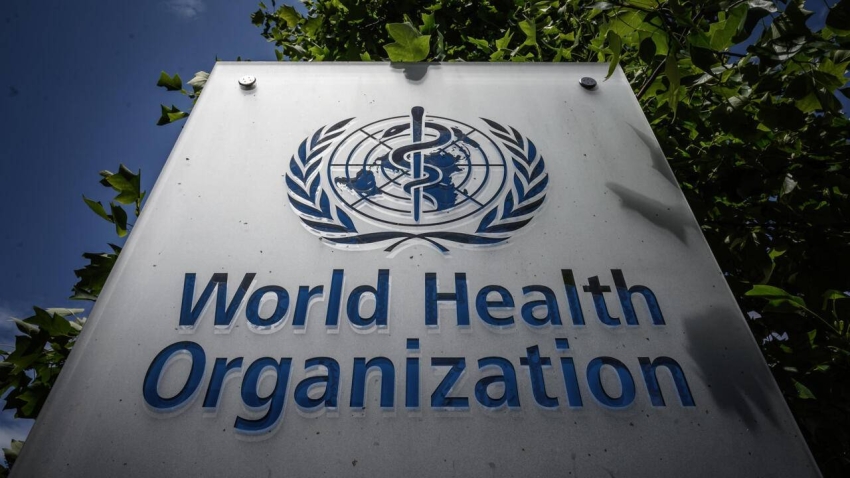 Saudi Arabia Elected Vice-Chair of WHO Executive Board 