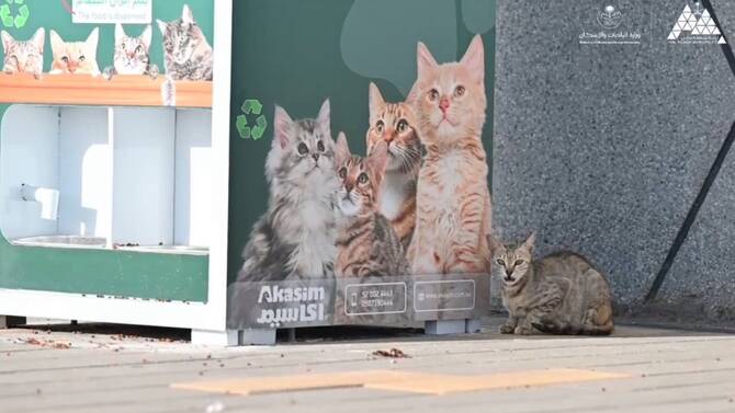 Hail Municipality Launches Smart Recycling Machine to Feed Stray Animals and Reduce Plastic Waste