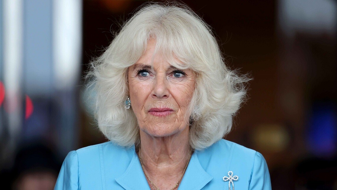 Oscar Winner Al Pacino Nods Off During Royal Event with Queen Camilla