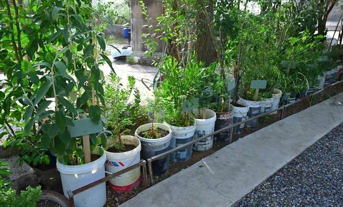 Saudi Environmentalist Builds Eco-Museum in Asir to Preserve Natural and Cultural Heritage