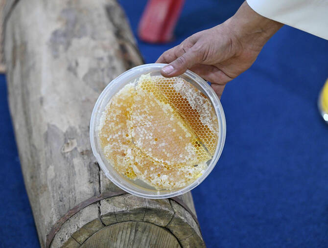 Buzz Builds Around Tabuk Honey Festival showcasing the Kingdom’s Sweet Legacy