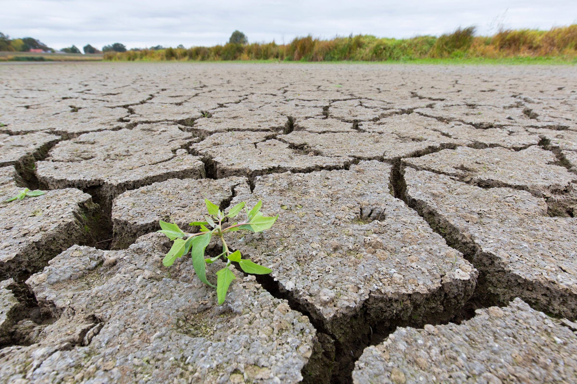 KAUST Publishes Groundbreaking Study on Land Degradation and Its Environmental Impacts