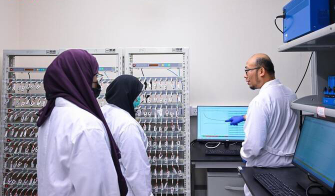 KAUST Study Salt Solution Boosts Aqueous Battery Lifespan Tenfold