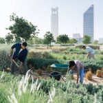 Saudi Arabia Launches “Sustainable Steps” Initiative to Advance Environmental Practices