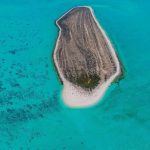 Study Reveals Saudi Arabia’s Eastern Coastal Ecosystems Are in Good Health