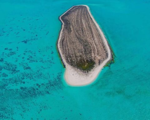 Study Reveals Saudi Arabia’s Eastern Coastal Ecosystems Are in Good Health