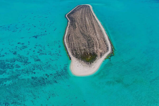 Study Reveals Saudi Arabia’s Eastern Coastal Ecosystems Are in Good Health
