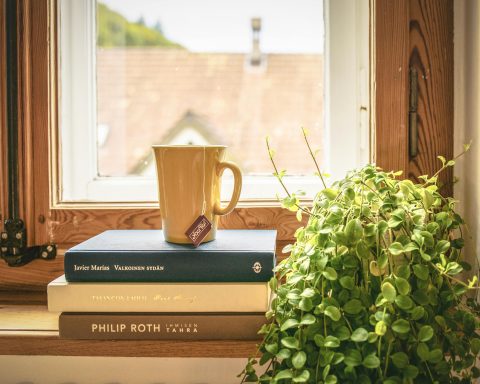 Story — The Timeless Art of Imagination and Wisdom in Arabic Literature