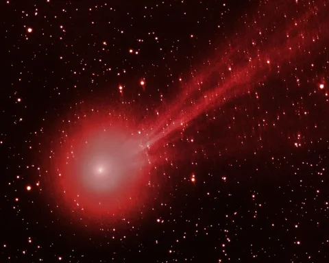 A Cosmic Mystery Strange Object Pulses in a Rhythm Resembling a Heartbeat