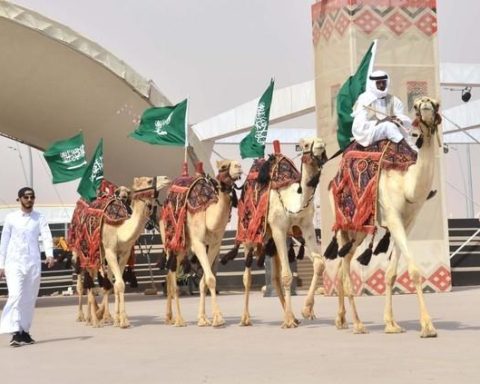 King Abdulaziz Camel Festival Records Unprecedented Demand and Growing Global Appeal
