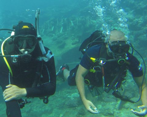 Red Sea Cleanup Initiative Launched in Jeddah to Protect Marine Ecosystems