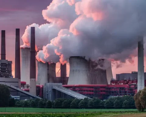 Saudi Arabia Aims to Become the Carbon Trading Hub for the Global South