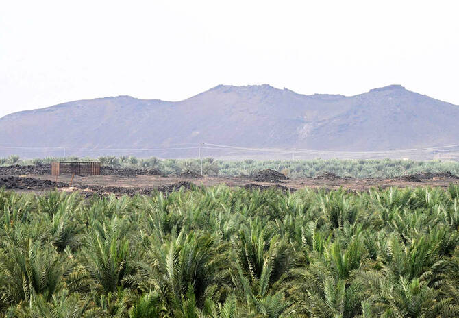 Sustainability Highlighted as Madinah Celebrates World Soil Day