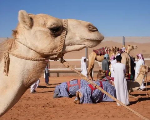 Bedouin Heritage Draws Visitors to Al-Sayahid Market