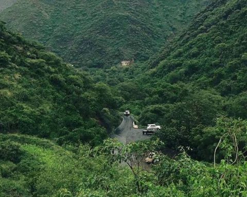 National Water Company Plants 2 Million Trees in Madinah to Support Saudi Green Initiative