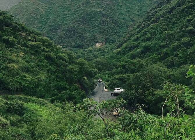 National Water Company Plants 2 Million Trees in Madinah to Support Saudi Green Initiative