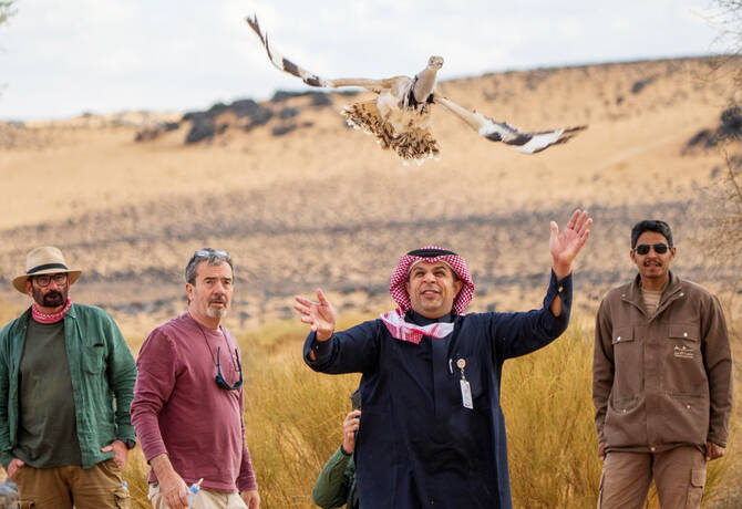 Saudi Conservation Efforts Successfully Return Asian Houbara to the Wild
