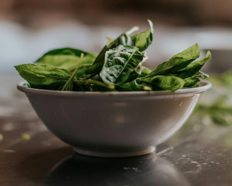 Scientific Breakthrough Beating Human Heart Tissue Grown from Spinach Leaves