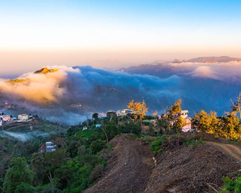 Visitors Flock to Enjoy Jazan During School Break