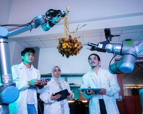 KAUST Scientists Develop Breakthrough Water-Efficient Desert Agriculture Technology Using Solar-Powered Systems