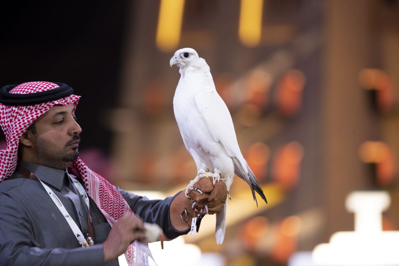 Falconer presenting a white falcon at the King Abdulaziz Falconry Festival