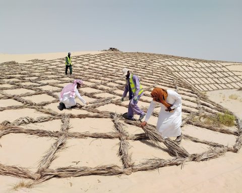 Saudi Arabia Champions Forest Conservation on International Day of Forests 2026