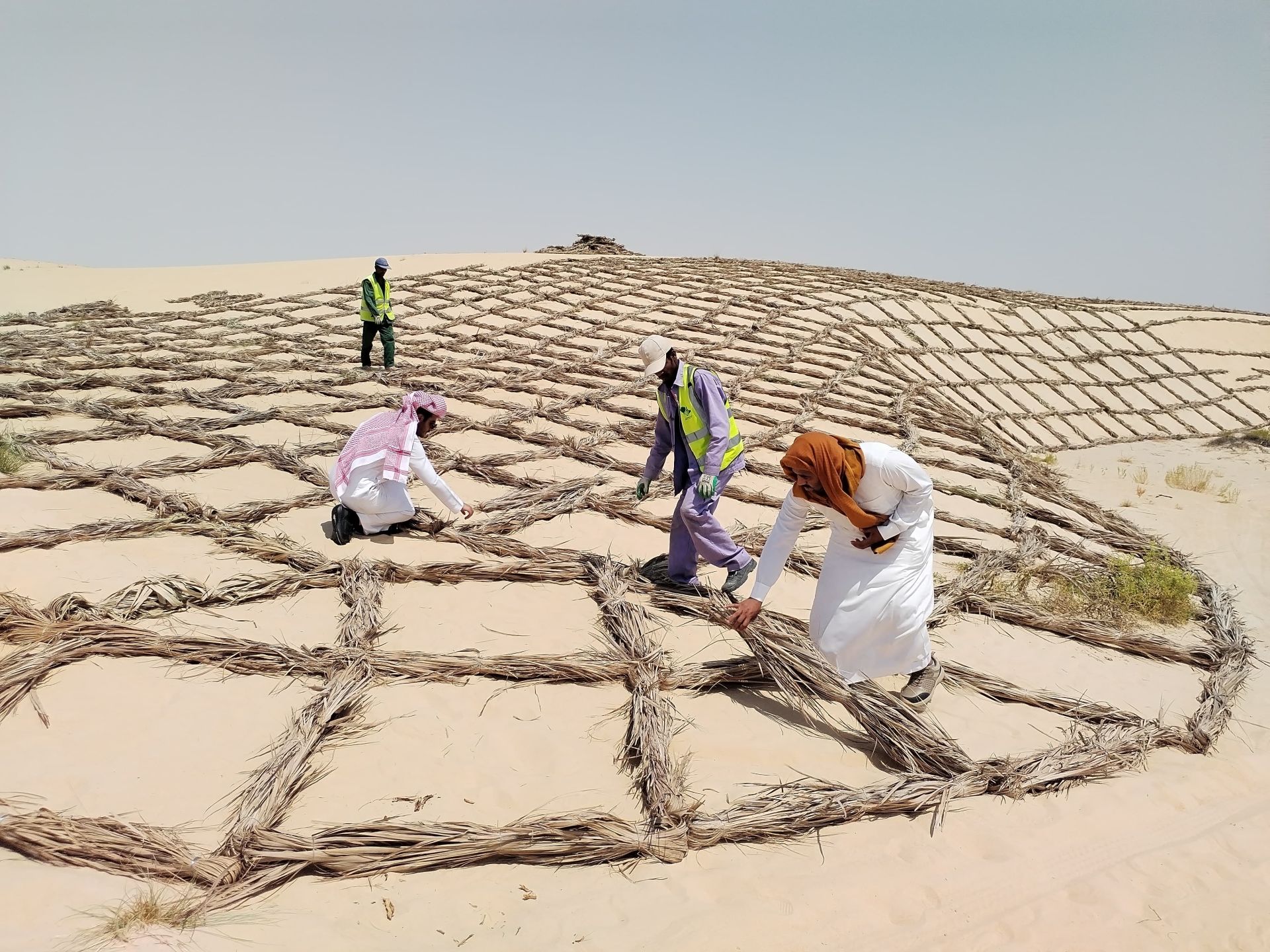 Saudi Arabia Champions Forest Conservation on International Day of Forests 2026