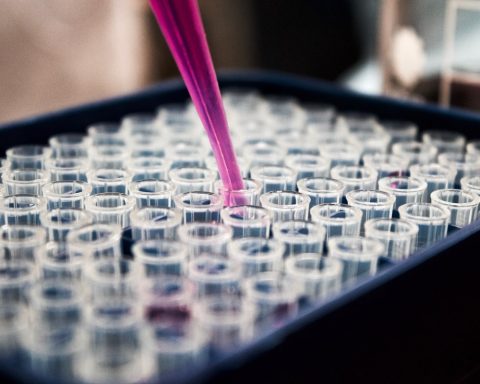 SIIG Approves SAR 1.4 Billion Bio-Protein Production Project in Jubail with Unibio