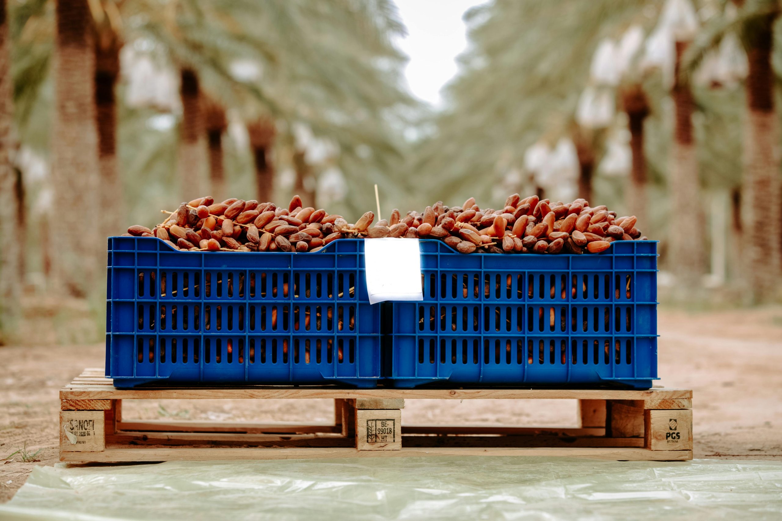 From Market Loss to Meaningful Living Abu Suleiman’s Story of Resilience