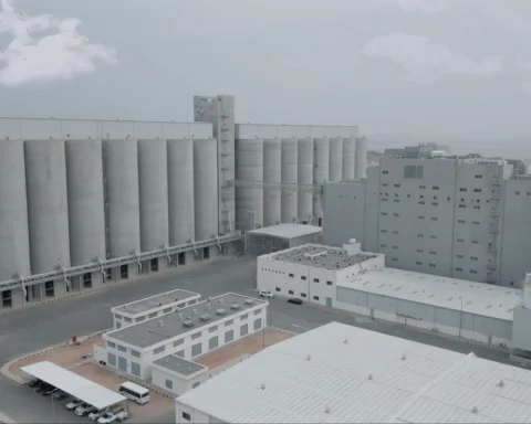 Modern Mills Unveils Ambitious Strategic Plans for 2026 and Expansion into New Sectors