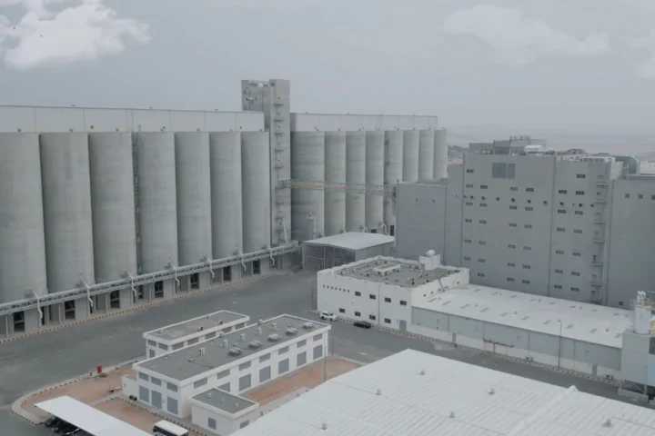 Modern Mills Unveils Ambitious Strategic Plans for 2026 and Expansion into New Sectors