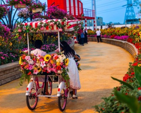 Riyadh in Bloom Boulevard Flowers Brings a Vibrant Nature Experience to the Capital