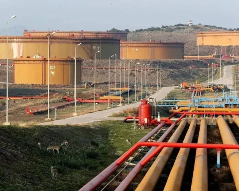 Saudi Arabia Reinforces National Food Security System Under Royal Directives