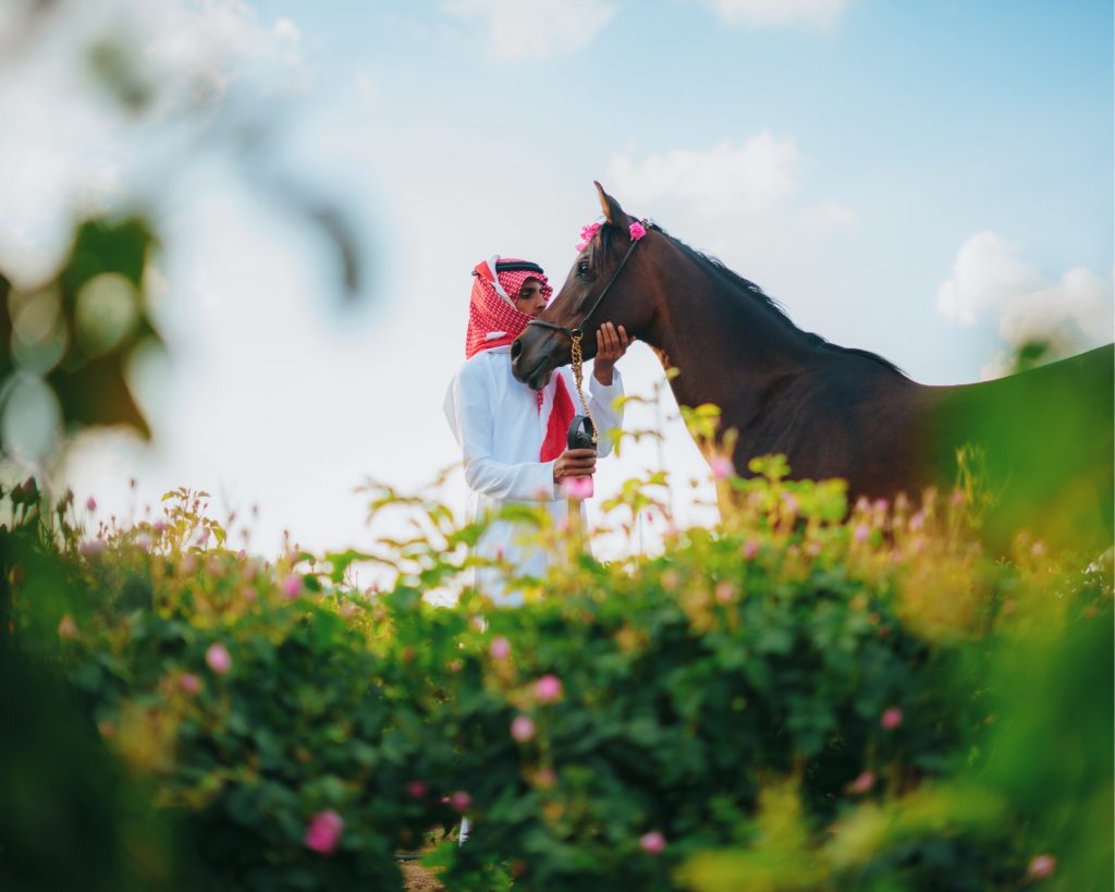 Taif's Rose Harvest Season Reaches Its Peak as Centuries-Old Tradition Perfumes the Kingdom