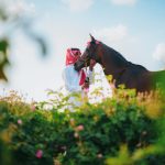 Taif's Rose Harvest Season Reaches Its Peak as Centuries-Old Tradition Perfumes the Kingdom