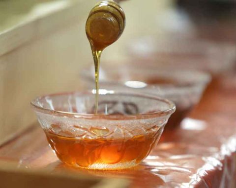 Seasonal Hive Migration Sustains Asir’s Premium Honey Industry