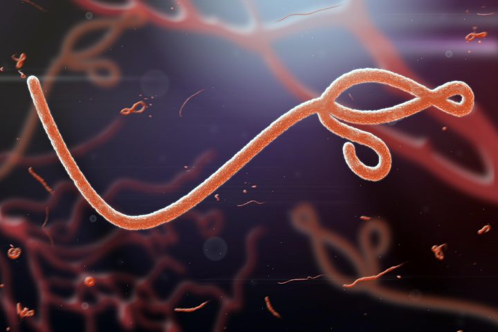Silent Ebola Spread Raises Alarm in Africa as Rare Untreatable Strain Emerges