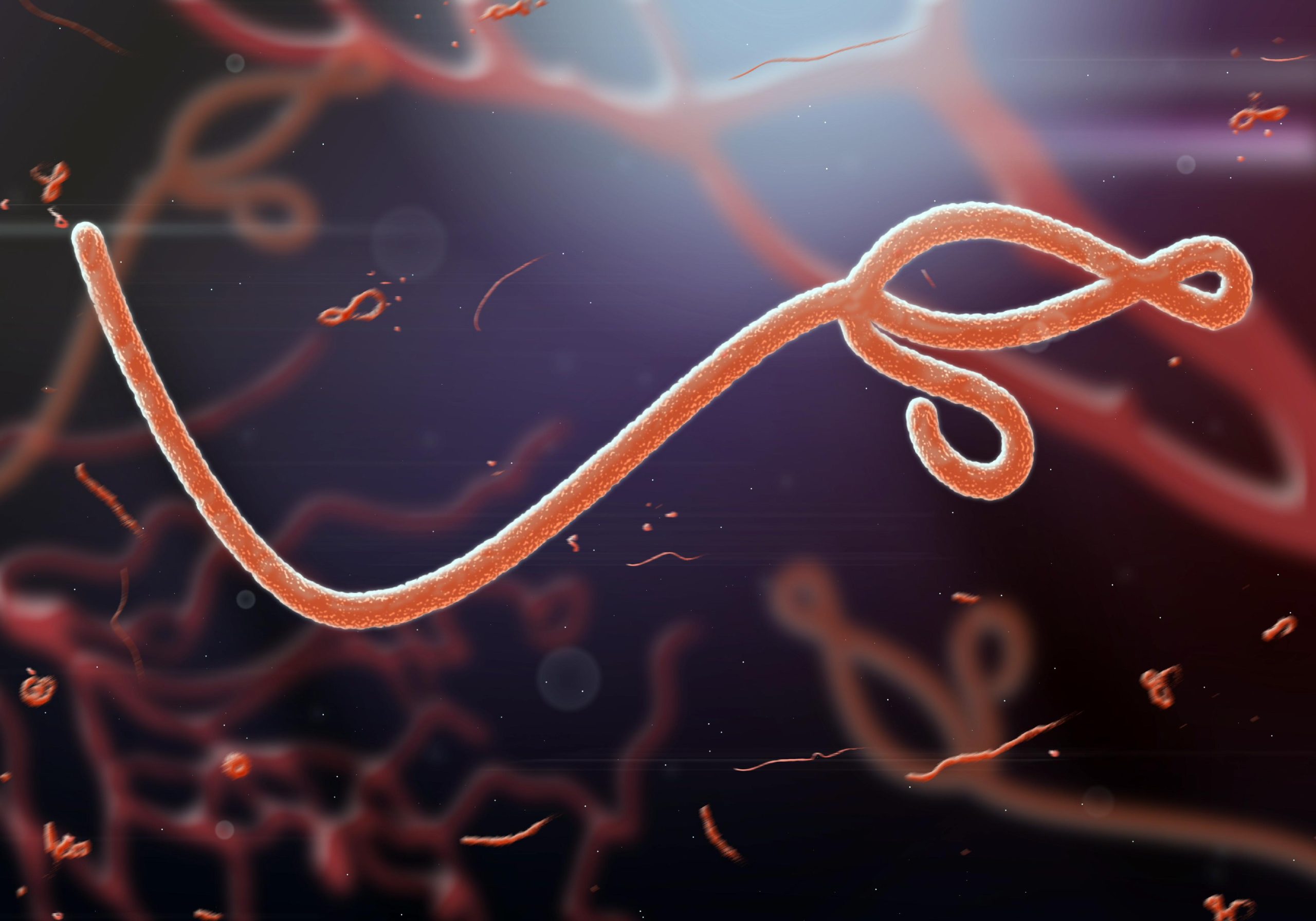 Silent Ebola Spread Raises Alarm in Africa as Rare Untreatable Strain Emerges