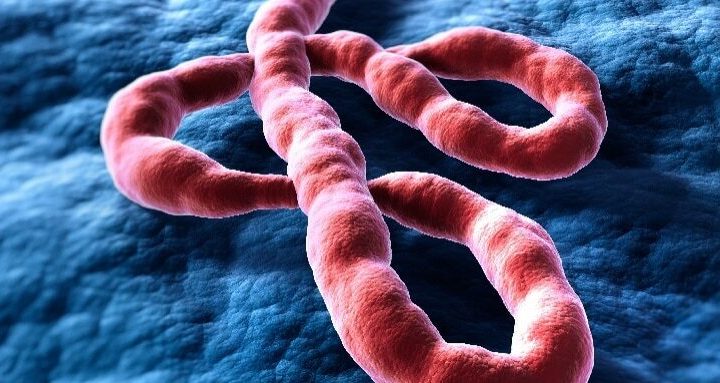 WHO Declares Health Emergency as Deadly Ebola Strain Spreads Without Vaccine