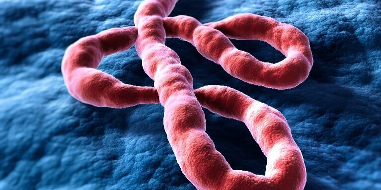 WHO Declares Health Emergency as Deadly Ebola Strain Spreads Without Vaccine