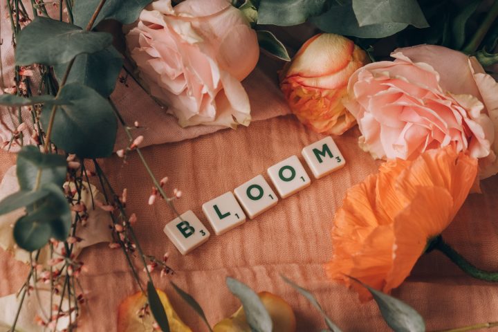 Beautiful Quotes… Small Words with Powerful Impact