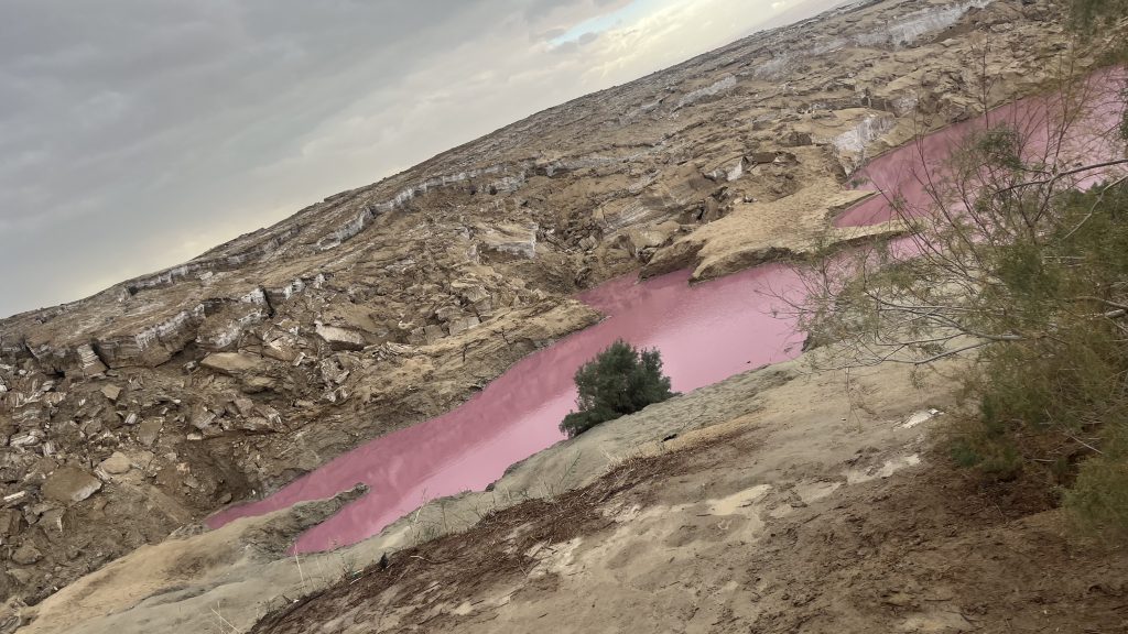 Pink Lake, Dead Sea, Jordan