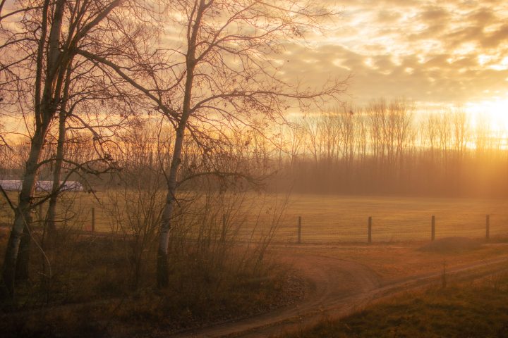 Morning Prayer The Most Beautiful Duas to Start Your Day with Peace and Blessings