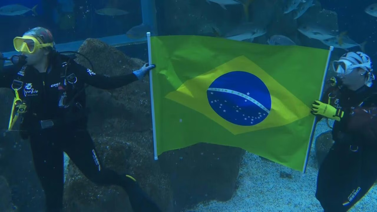 Shark Predicts Brazil Victory Over Morocco in World Cup Opener