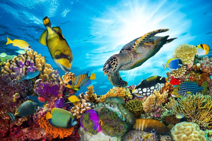 Saudi Arabia Protects 18.3% of Terrestrial Environments as It Advances Toward 2030 Target