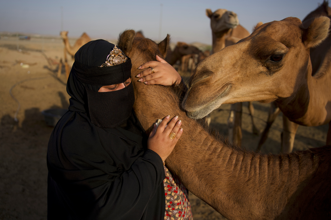 Saudi Creator Uses Social Media to Introduce the World to the Gentle Side of Camels