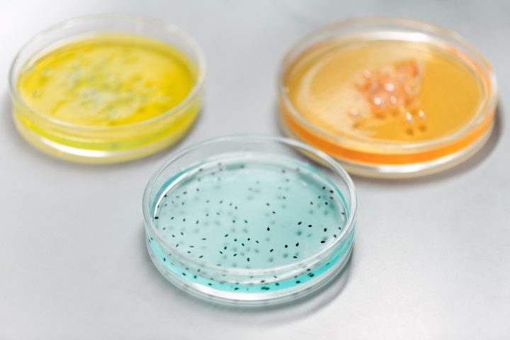 Localizing Gene-Editing Laboratories Could Position Saudi Arabia for Advanced Therapy Manufacturing