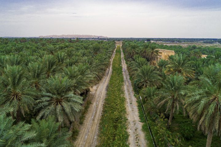 Madinah Explores Investment Opportunities in Date Palm Waste